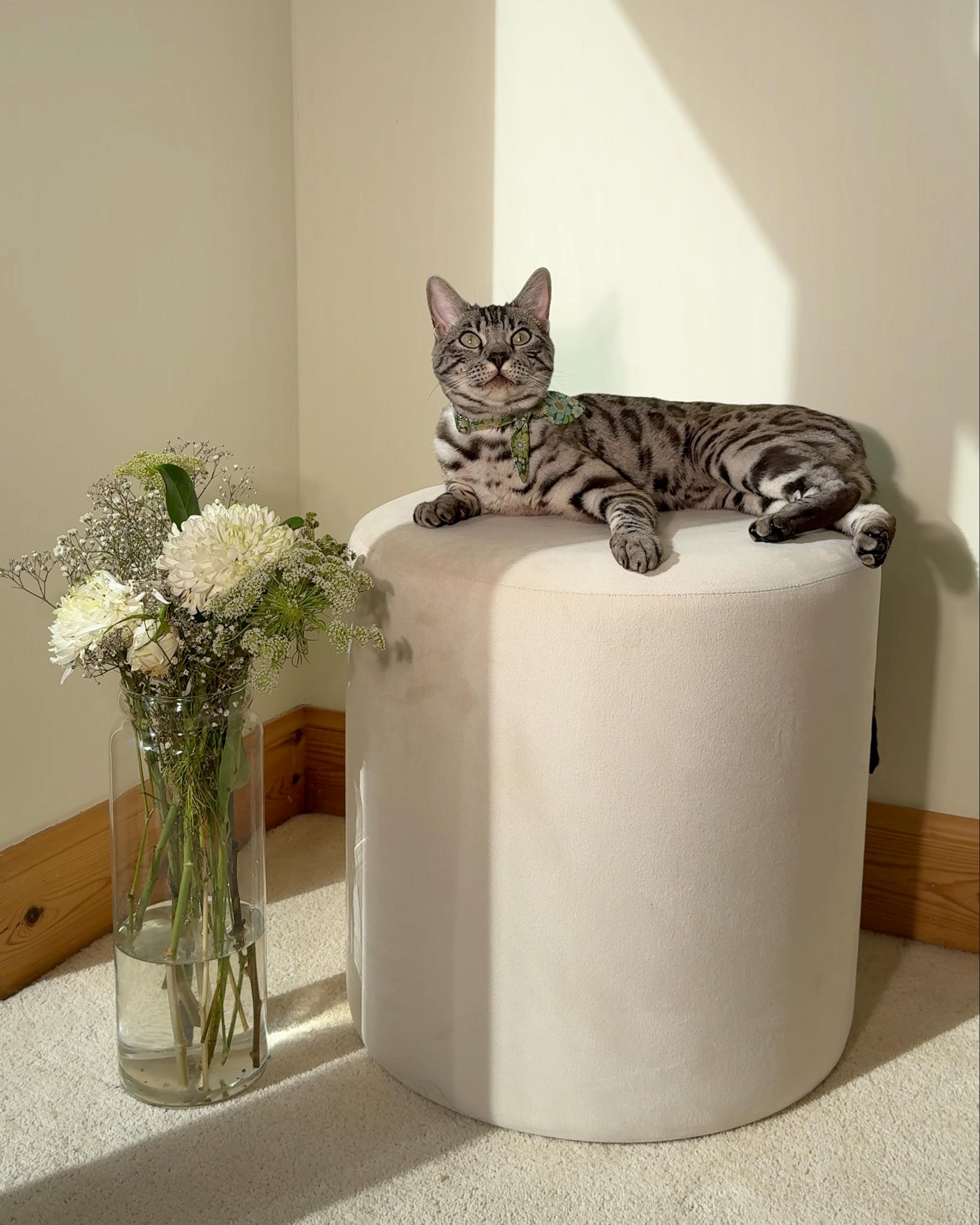  Pouffe LOVETT Velvet Light Beige
