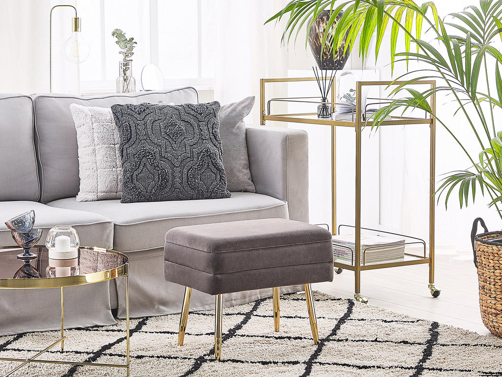  Storage Bench ODESSA Velvet Grey