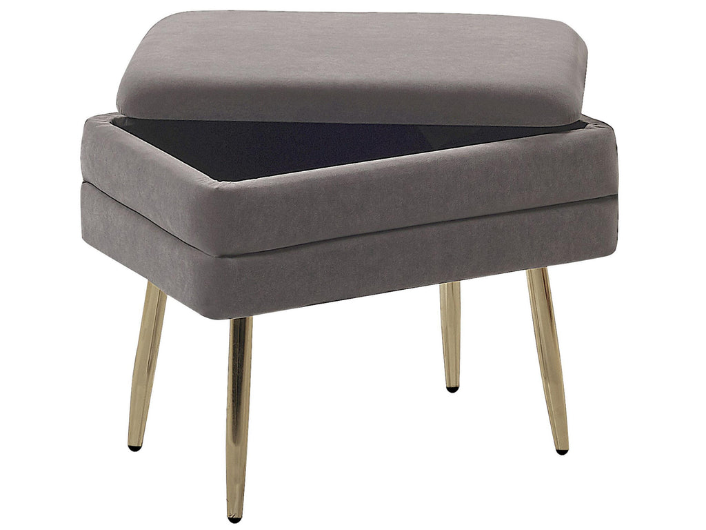  Storage Bench ODESSA Velvet Grey