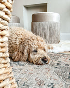  Pouffe VIRGINIA Velvet Taupe