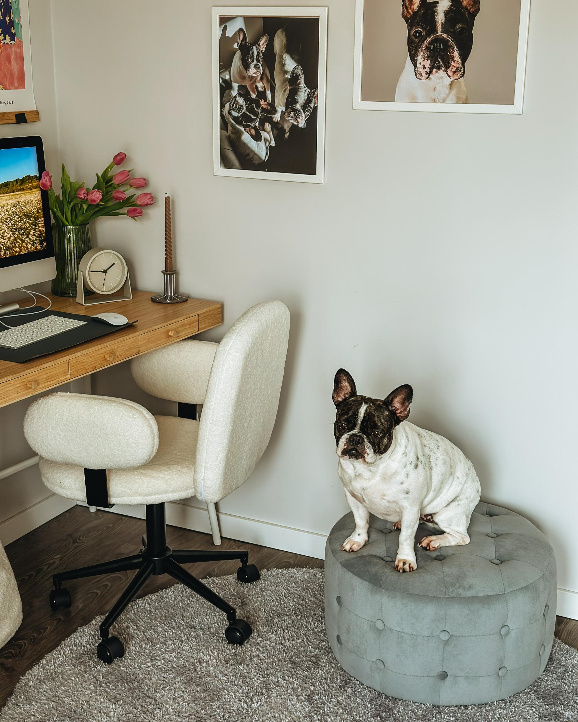  Pouffe TAMPA Velvet Light Grey