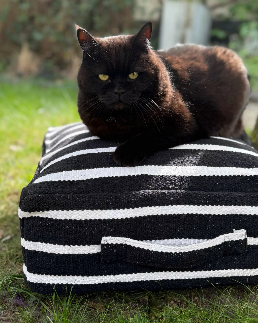  Pouffe SETTAT Cotton Black